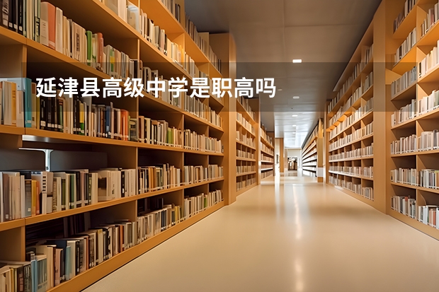 延津县高级中学是职高吗