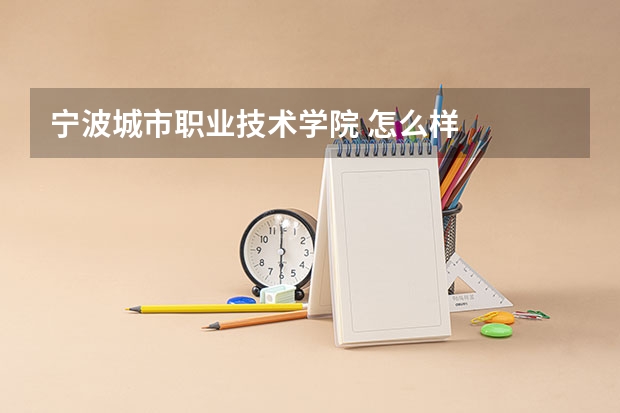 宁波城市职业技术学院 怎么样
