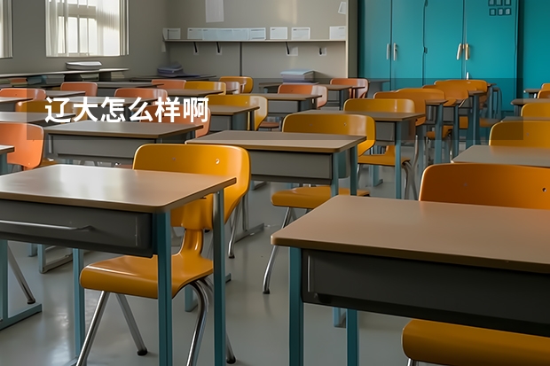 辽大怎么样啊