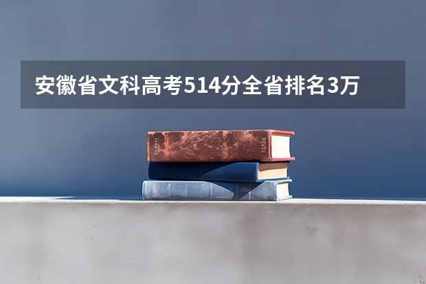 安徽省文科高考514分全省排名3万8千8百名填什么学校可以走?