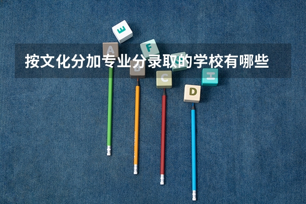 按文化分加专业分录取的学校有哪些