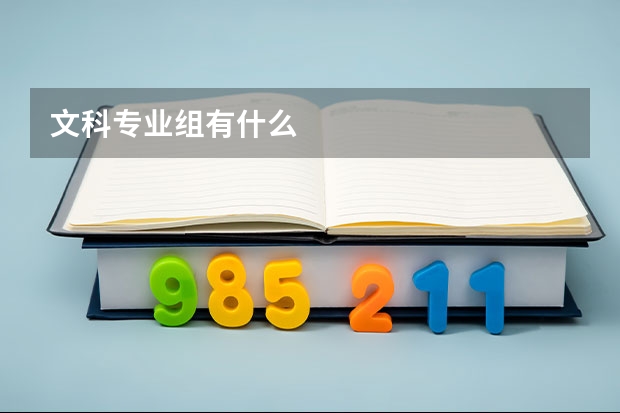 文科专业组有什么