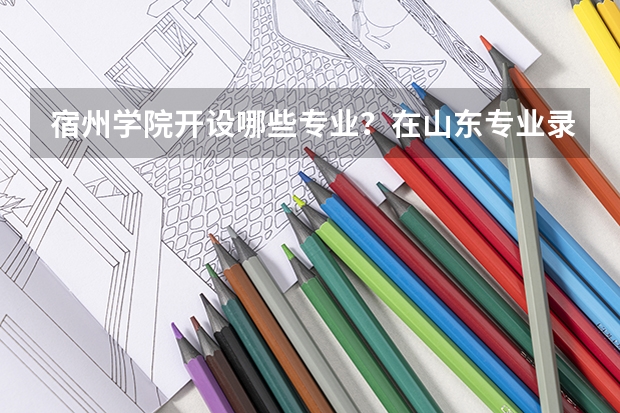 宿州学院开设哪些专业？在山东专业录取分数线一览表