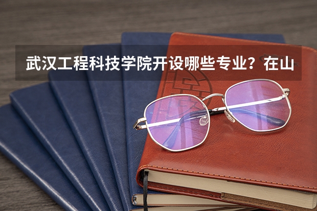 武汉工程科技学院开设哪些专业？在山东专业录取分数线一览表