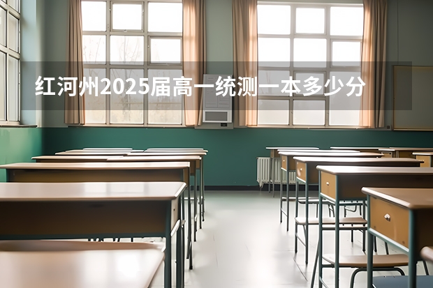 红河州2025届高一统测一本多少分？