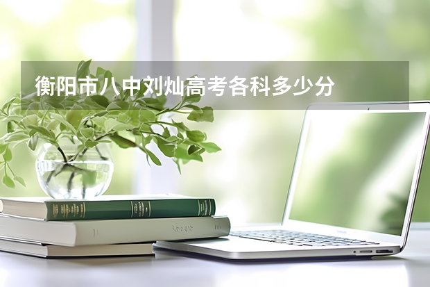 衡阳市八中刘灿高考各科多少分