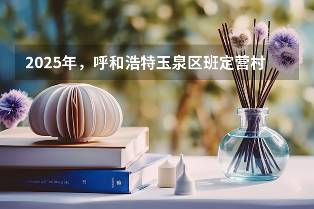 2025年，呼和浩特玉泉区班定营村会不会被纳入拆迁计划里呢