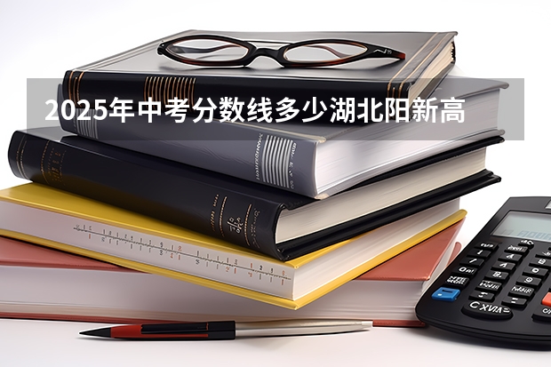 2025年中考分数线多少湖北阳新高中