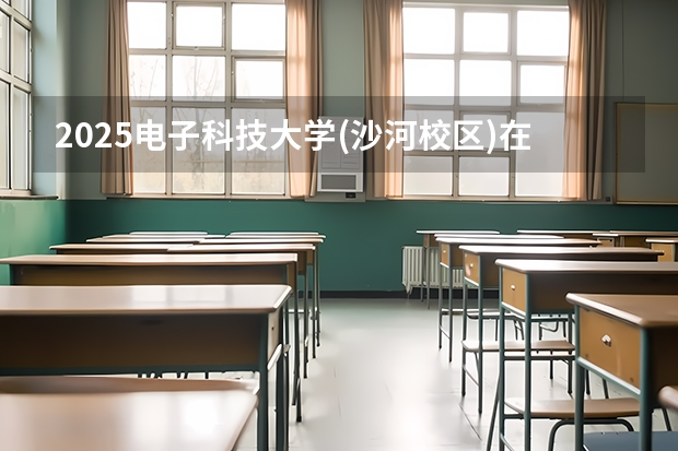 2025电子科技大学(沙河校区)在山东招生计划一览表