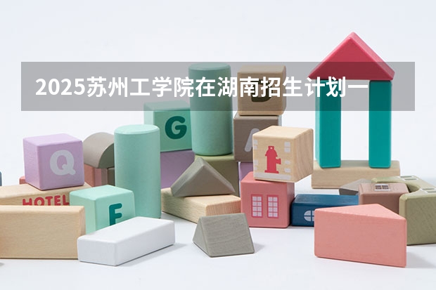 2025苏州工学院在湖南招生计划一览表