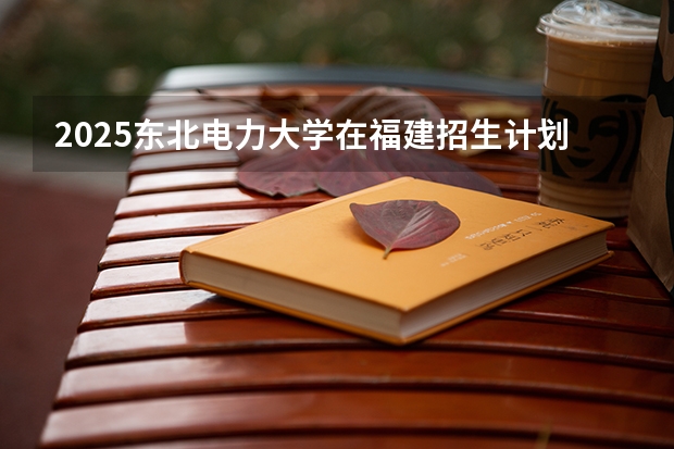 2025东北电力大学在福建招生计划一览表