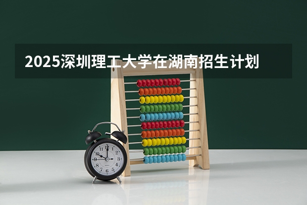 2025深圳理工大学在湖南招生计划一览表