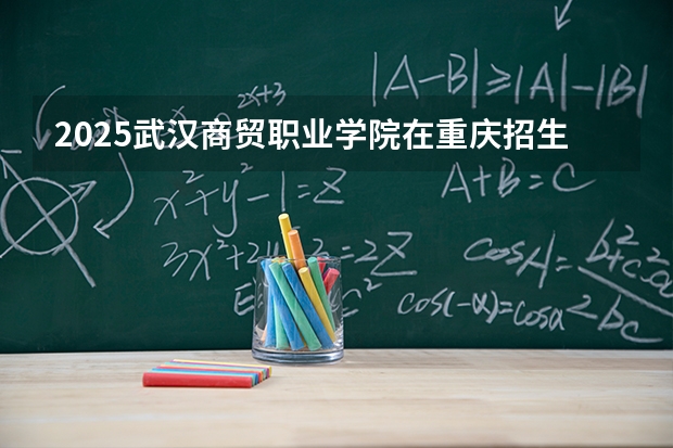 2025武汉商贸职业学院在重庆招生计划一览表