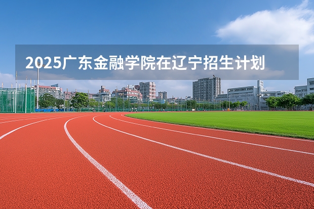 2025广东金融学院在辽宁招生计划一览表