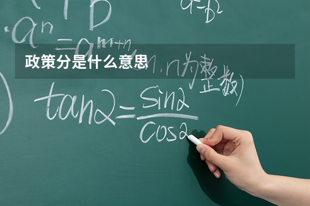 政策分是什么意思
