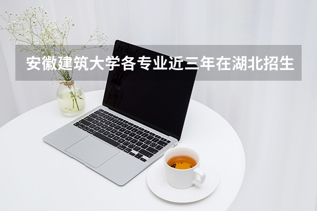 安徽建筑大学各专业近三年在湖北招生人数 学费多少钱