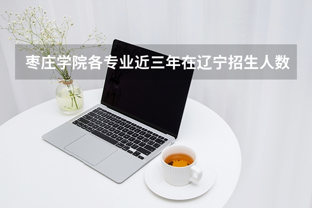 枣庄学院各专业近三年在辽宁招生人数 学费多少钱