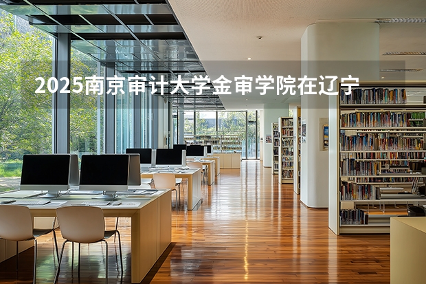2025南京审计大学金审学院在辽宁招生计划一览表