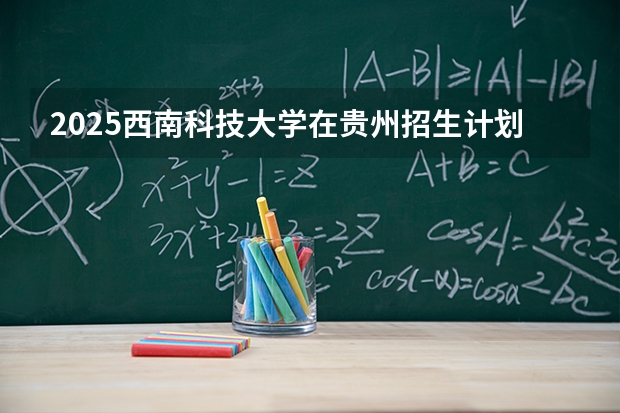 2025西南科技大学在贵州招生计划一览表