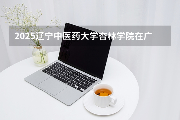 2025辽宁中医药大学杏林学院在广西招生计划一览表