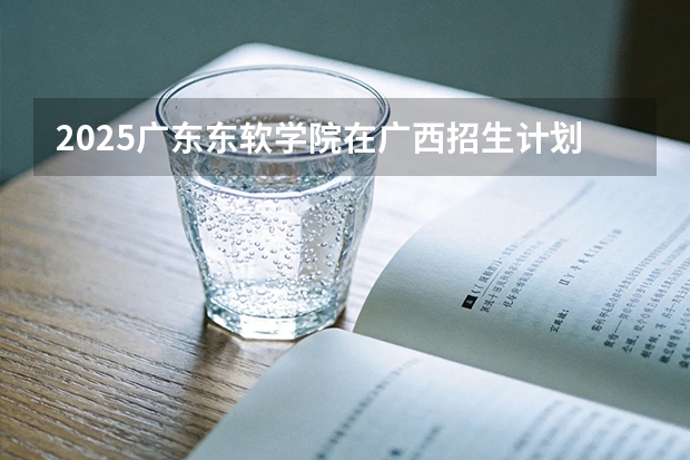 2025广东东软学院在广西招生计划一览表
