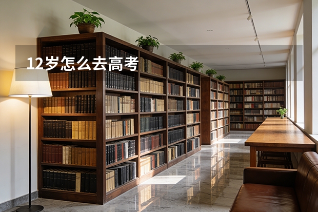 12岁怎么去高考