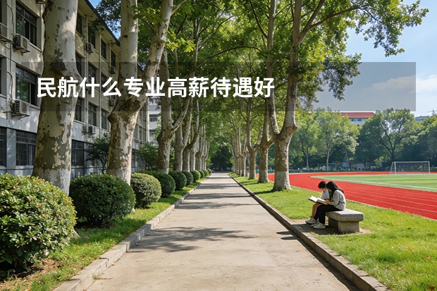 民航什么专业高薪待遇好