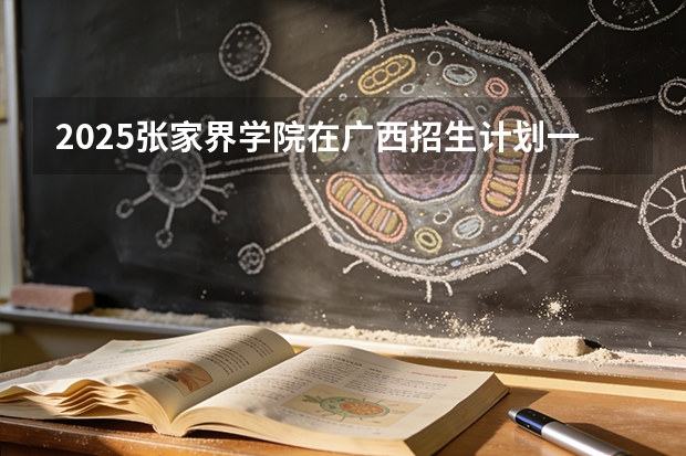 2025张家界学院在广西招生计划一览表