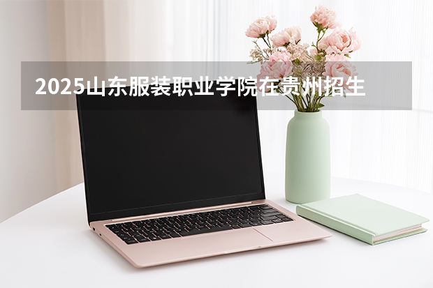 2025山东服装职业学院在贵州招生计划一览表