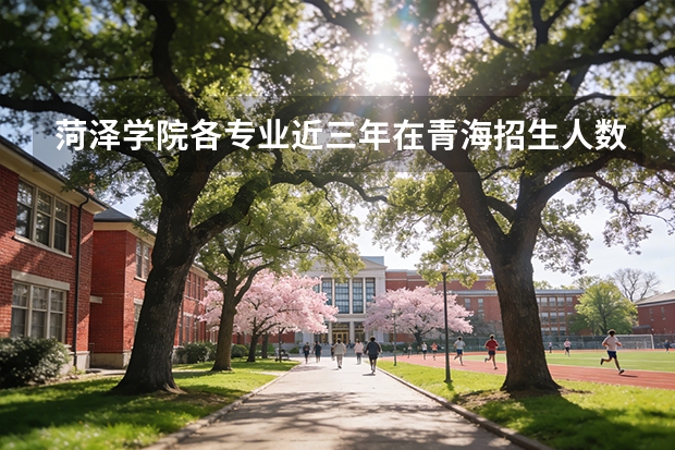 菏泽学院各专业近三年在青海招生人数 学费多少钱