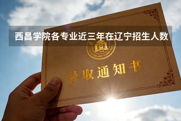 西昌学院各专业近三年在辽宁招生人数 学费多少钱