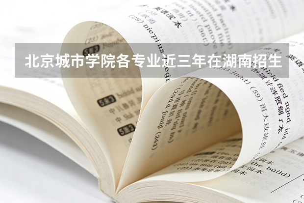 北京城市学院各专业近三年在湖南招生人数 学费多少钱