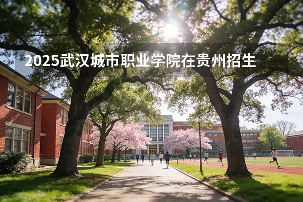 2025武汉城市职业学院在贵州招生计划一览表