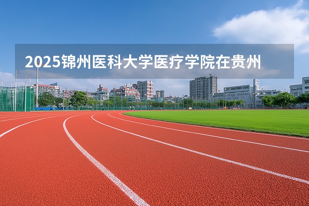 2025锦州医科大学医疗学院在贵州招生计划一览表