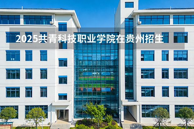 2025共青科技职业学院在贵州招生计划一览表