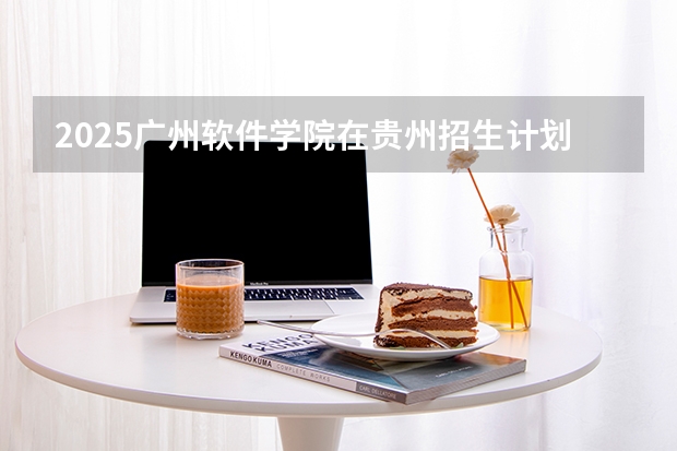 2025广州软件学院在贵州招生计划一览表