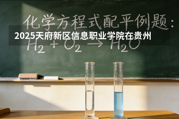 2025天府新区信息职业学院在贵州招生计划一览表