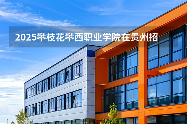 2025攀枝花攀西职业学院在贵州招生计划一览表
