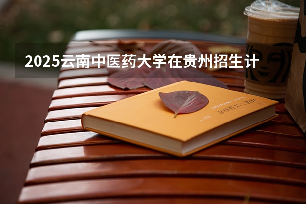 2025云南中医药大学在贵州招生计划一览表