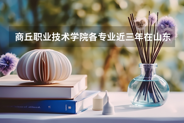 商丘职业技术学院各专业近三年在山东招生人数 学费多少钱