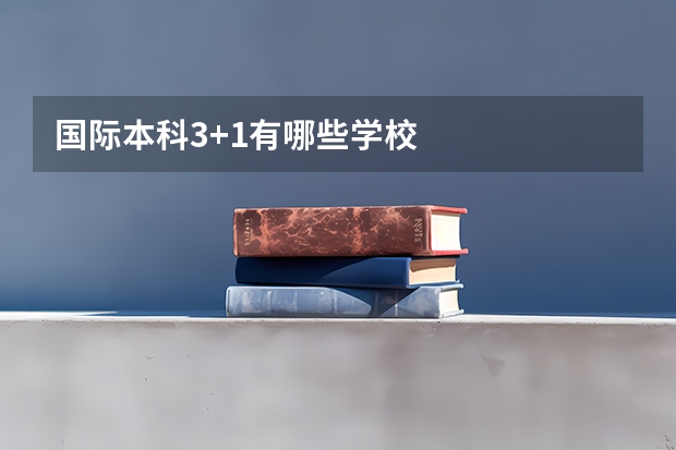 国际本科3+1有哪些学校