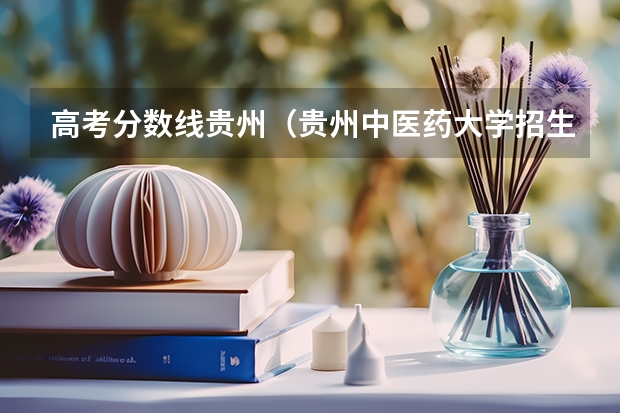 高考分数线贵州（贵州中医药大学招生章程）