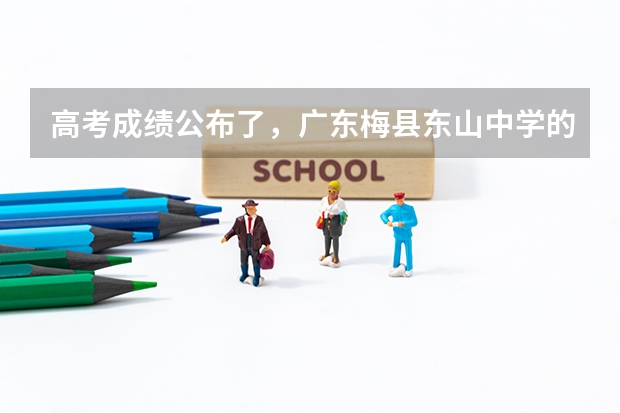高考成绩公布了，广东梅县东山中学的具体情况怎样？（求要广东梅县东山中学过往3年文理科高考的数据？？？（如一本率，本科率等等））