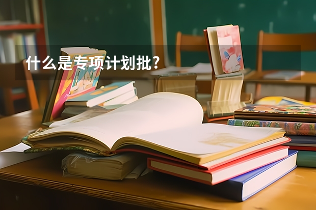 什么是专项计划批?