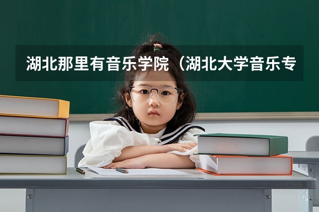 湖北那里有音乐学院（湖北大学音乐专业录取分数线）