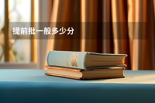 提前批一般多少分