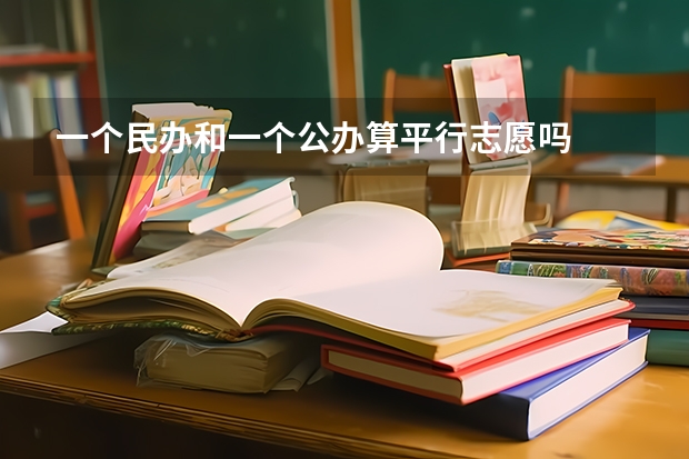 一个民办和一个公办算平行志愿吗