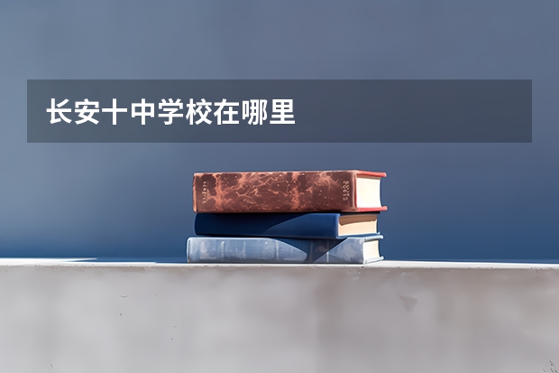 长安十中学校在哪里