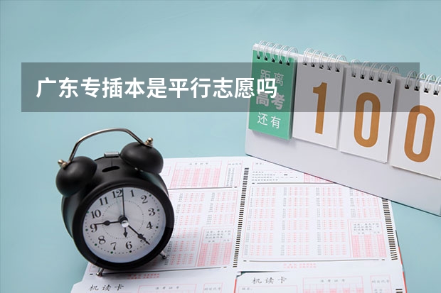 广东专插本是平行志愿吗