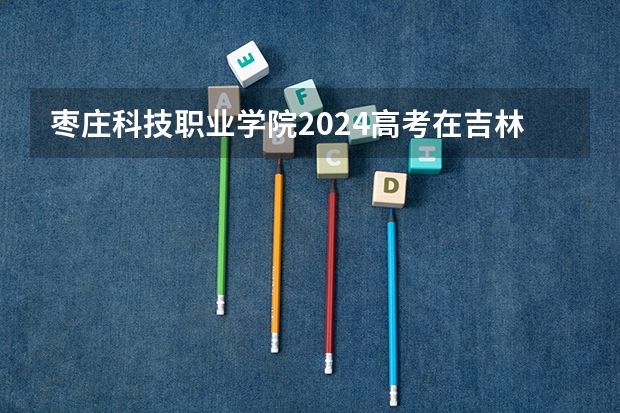枣庄科技职业学院2024高考在吉林招生计划